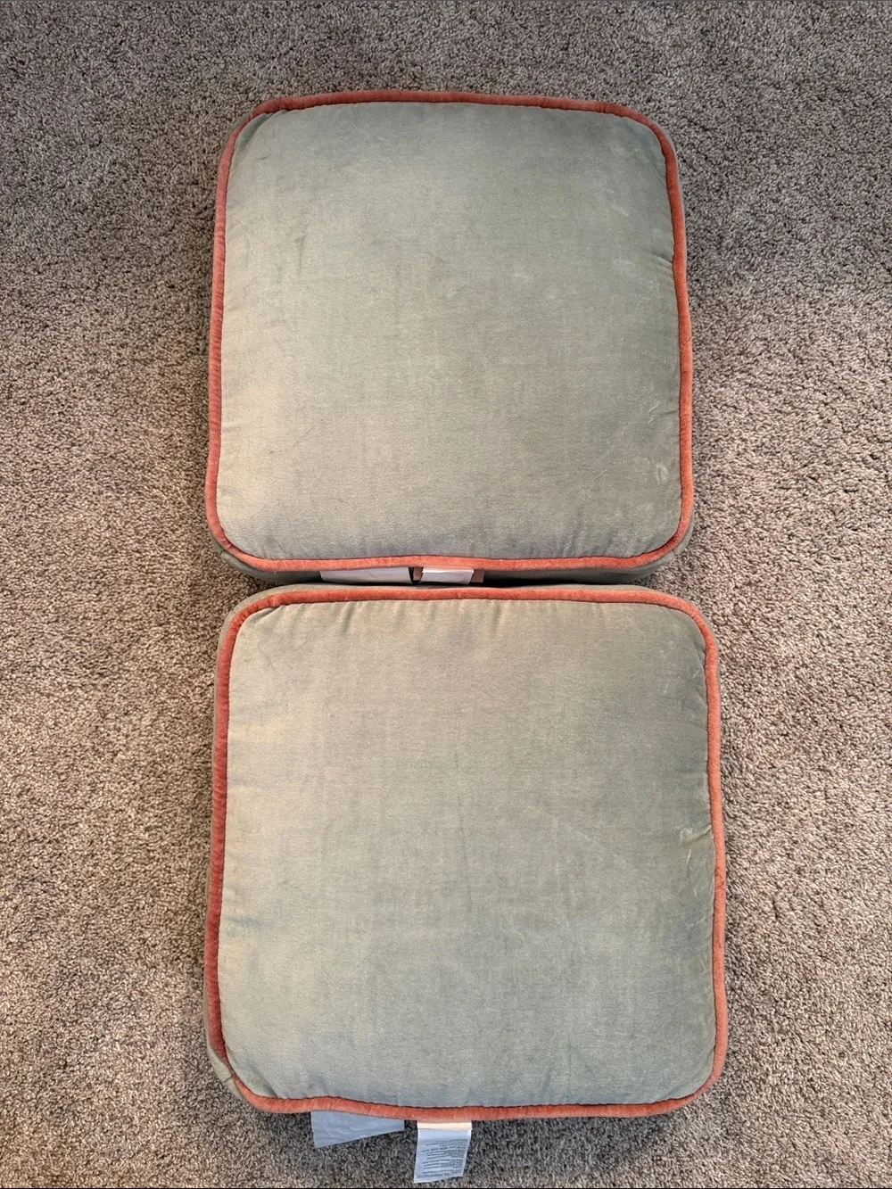 Crate & Barrel Harriet Velvet Square Pillow - A Pair